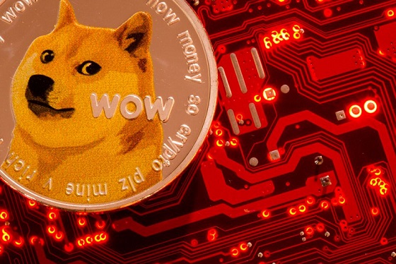 Le lancement du satellite DOGE-1 financ&eacute;